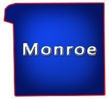 Monroe County Wisconsin Bars for Sale